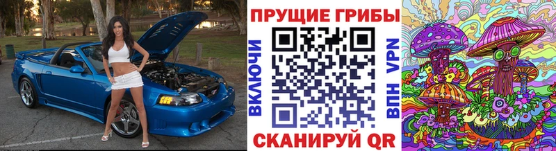 Псилоцибиновые грибы MAGIC MUSHROOMS  купить закладку  Макарьев 